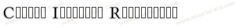Caslon Initials Regu字体转换